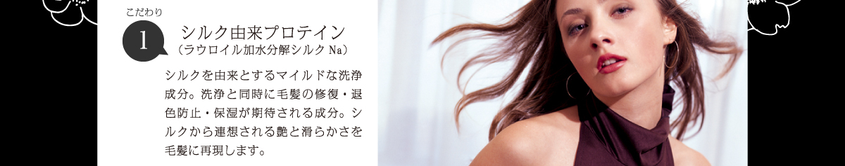 シルク由来プロテイン