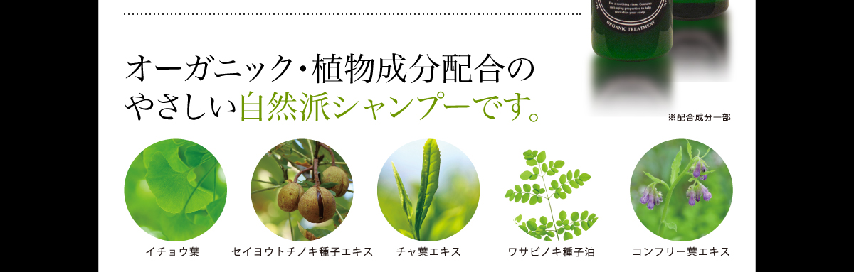オーガニック・植物成分配合のやさしい自然派シャンプーです。