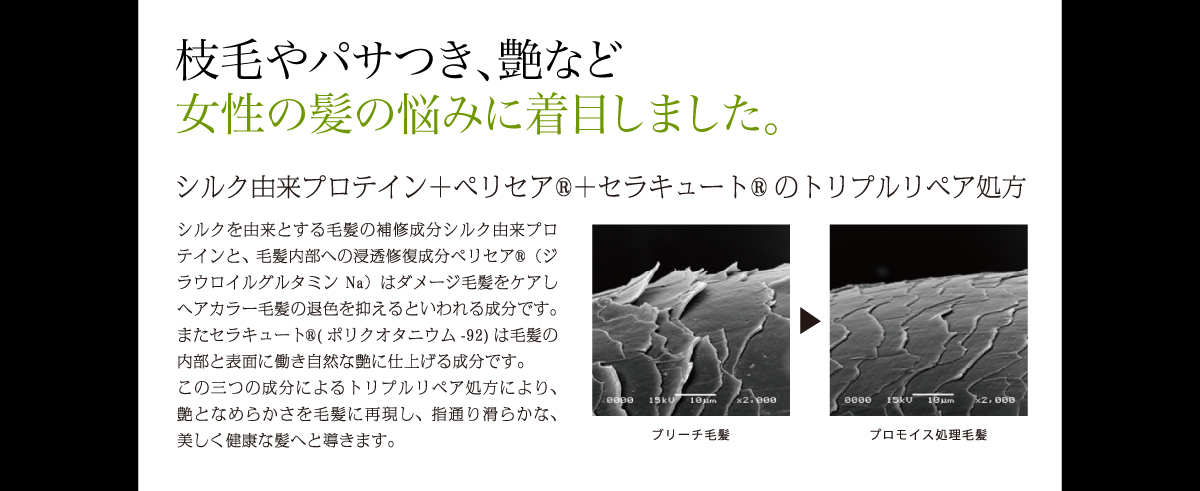 枝毛やパサつき、艶など女性の髪の悩みに着目しました。